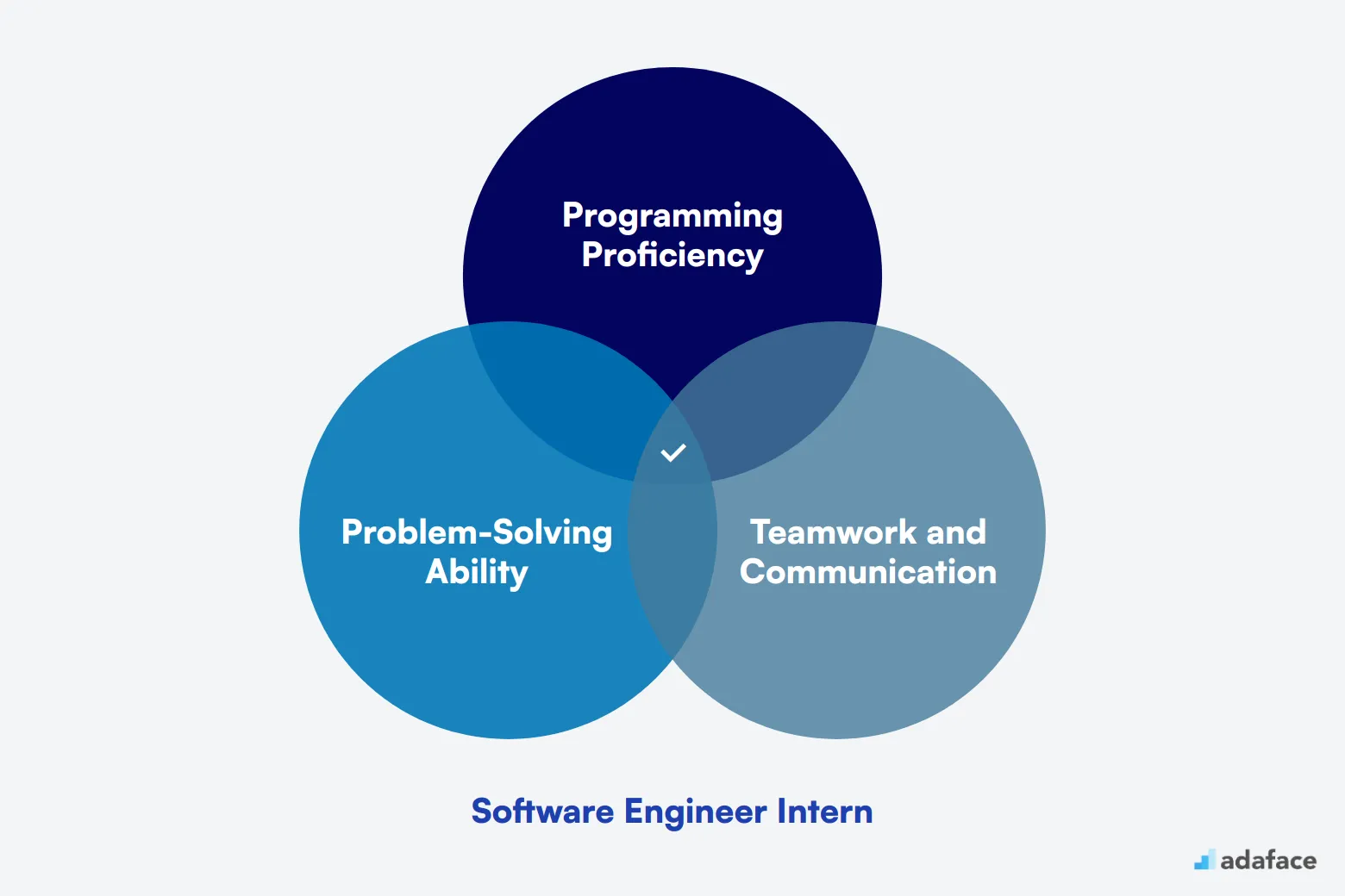 What makes up an ideal candidate for Software Engineer Intern