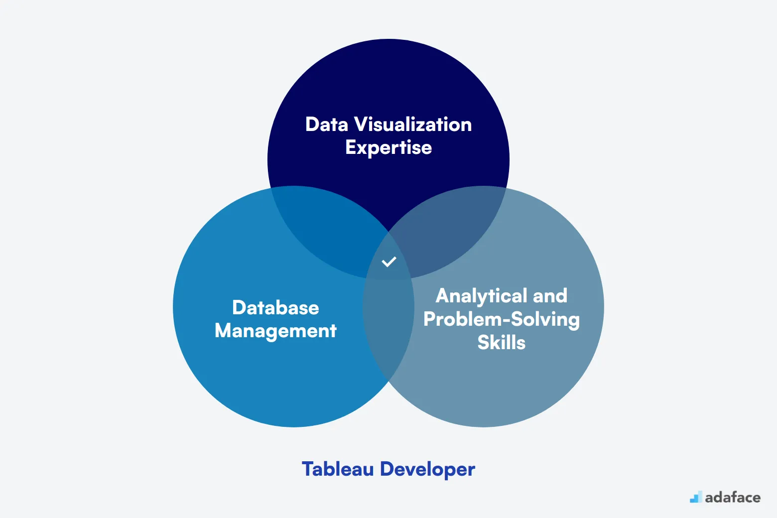 What makes up an ideal candidate for Tableau Developer