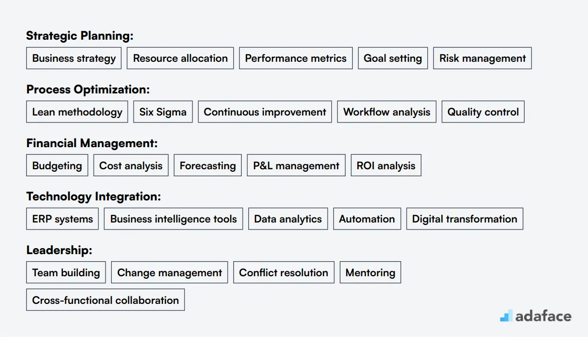 Ideal skills required for VP Operations