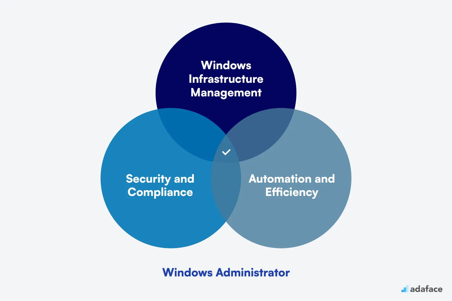 What makes up an ideal candidate for Windows Administrator